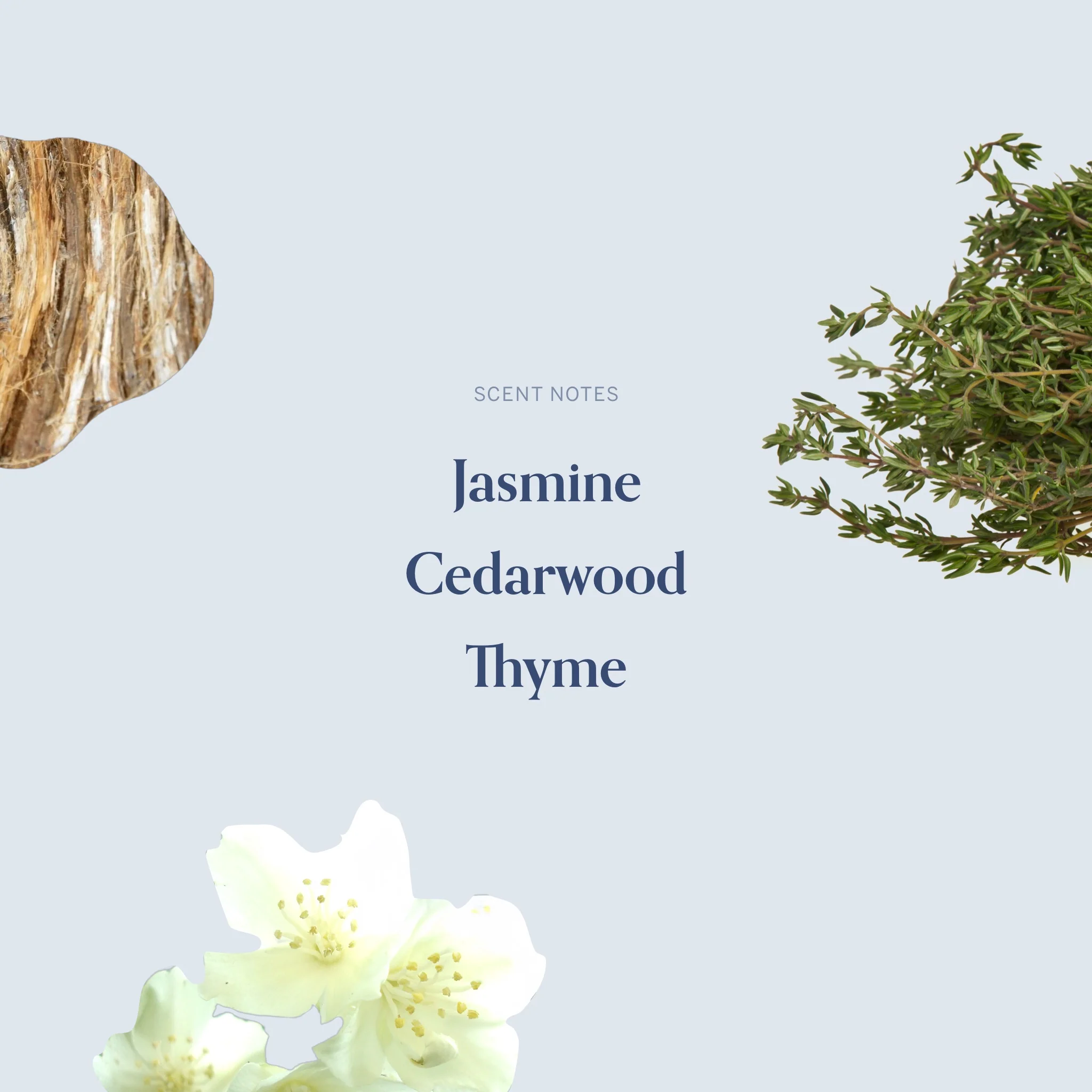 The February Twentieth Candle - Image 4